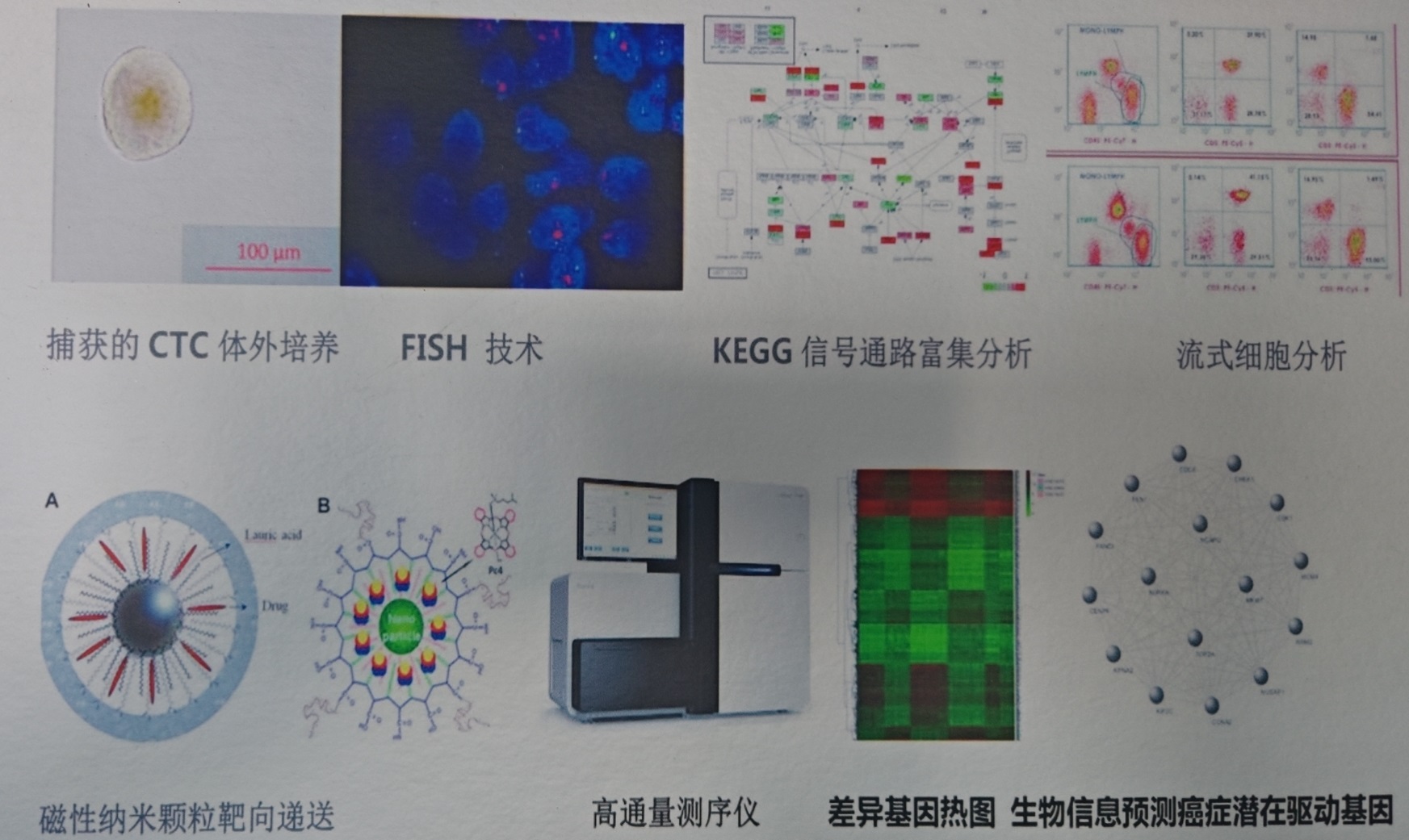 案例介绍