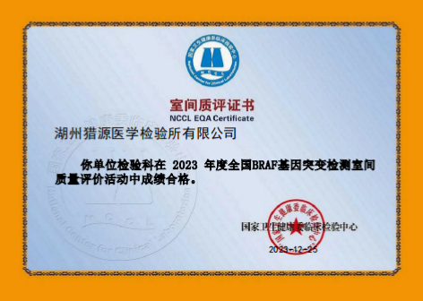 2023BRAF基因突变